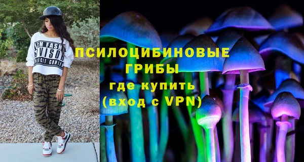 амф Алексеевка