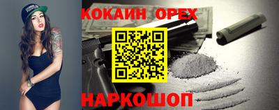 гашик Шелехов