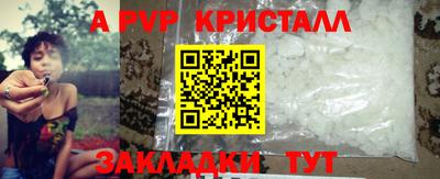гашик Шелехов