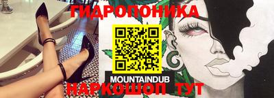 гашик Шелехов