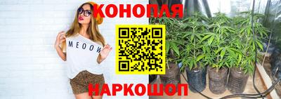 ПСИЛОЦИБИНОВЫЕ ГРИБЫ Шахты