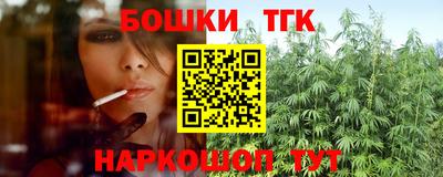 гашик Шелехов