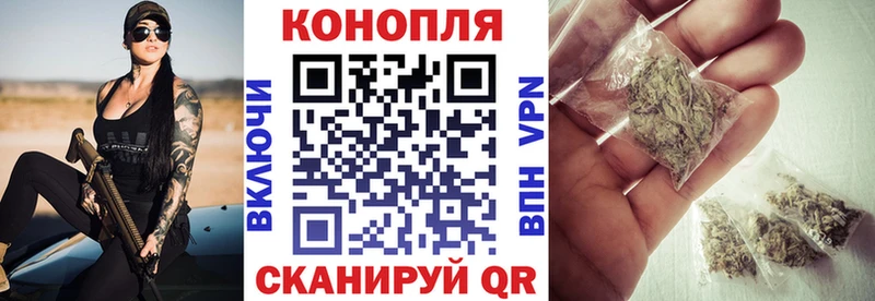 Бошки марихуана ГИДРОПОН  Курчалой 
