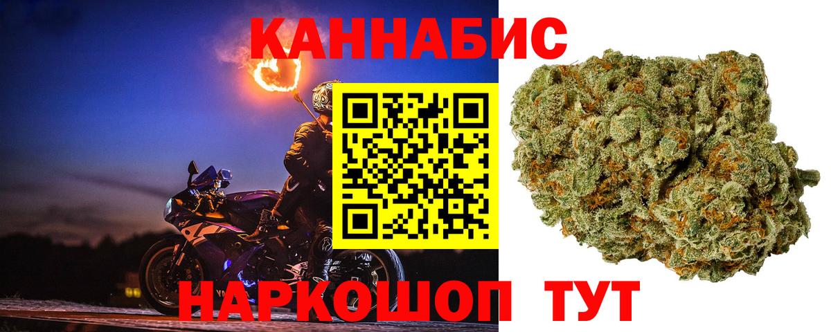 Каннабис семена  Бошки Шишки планчик  Курчалой  Марихуана OG Kush  Вход с VPN 